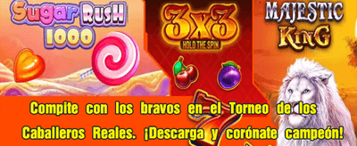 Casino Online con Pagos Rápidos